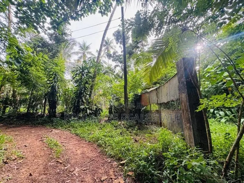 (RL646) 197 Perch Land for Sale in Wadduwa