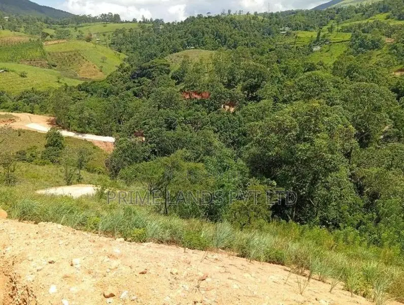 දෙල්තොට නගරට ආසන්නව බිම් කොටස්