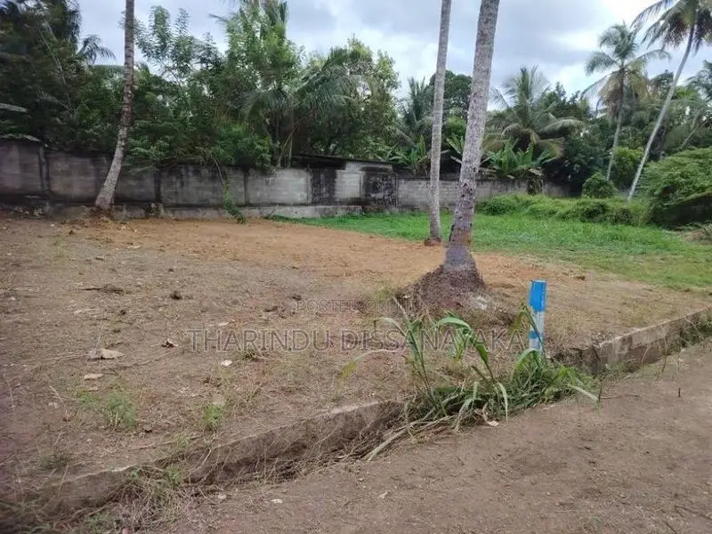 Land in Kadawatha Belummahara Plot 01