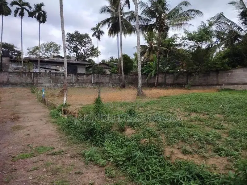 Land in Kadawatha Belummahara Plot 01