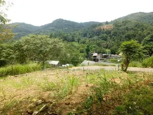 Residential Land for Sale in Mawanella, Uthuwankanda