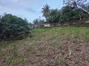 Land Sale in Kotikawaththa