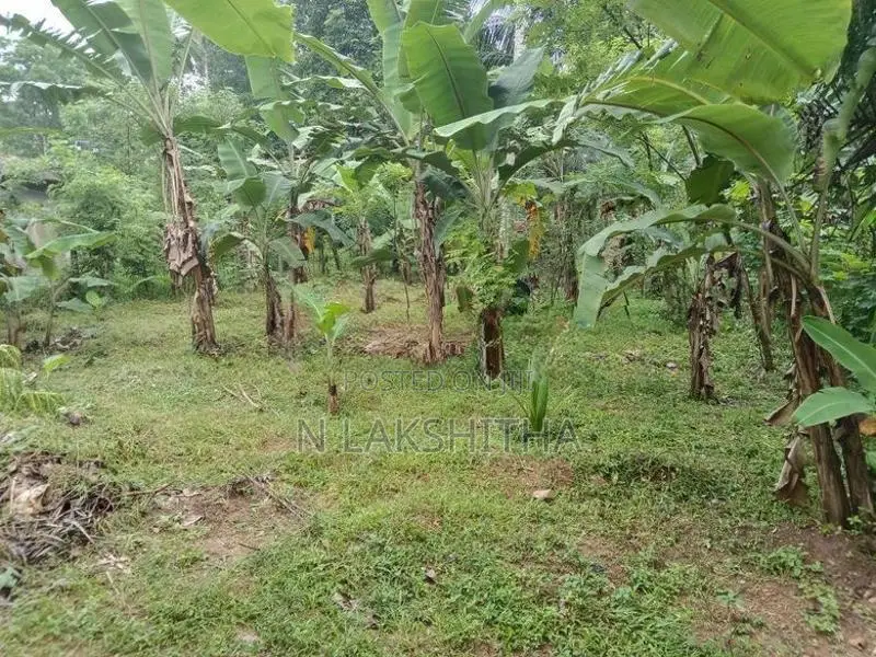 Land for Sale in Mirigama