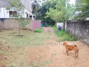 Kottawa Land for idiat Sale in Bogahawila Road