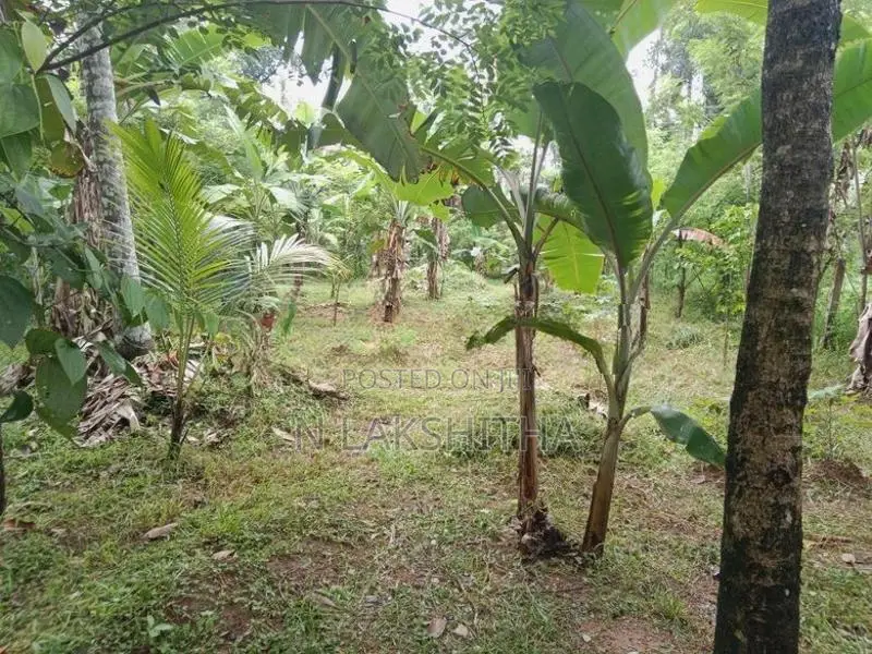 Land for Sale in Mirigama