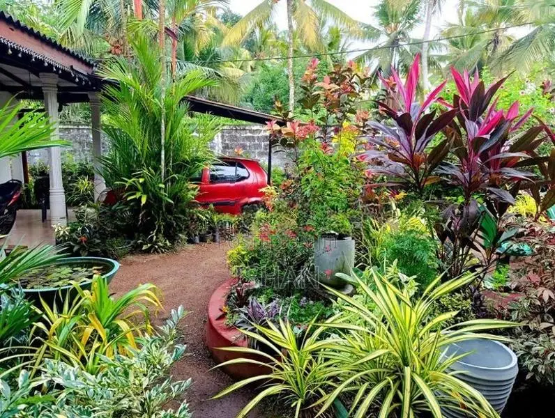 House with 30 Perch Land for Sale in Welmilla