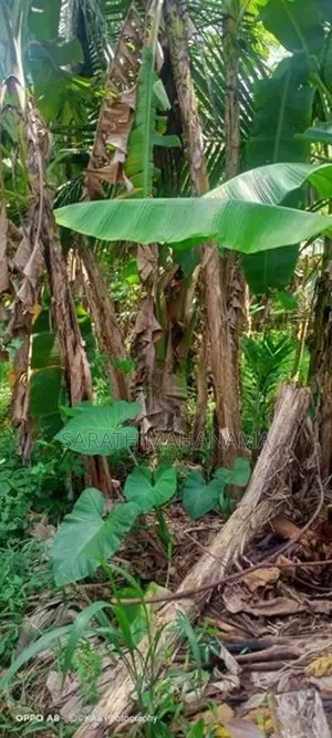 Land for Sale in Kahathuduwa