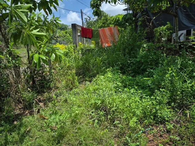 Land for Sale in Homagama