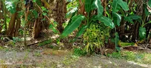 Land for Sale in Kahathuduwa
