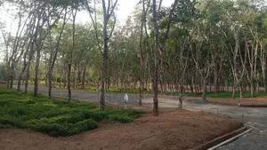 අහංගමට ලඟින් බිම් කොටස්