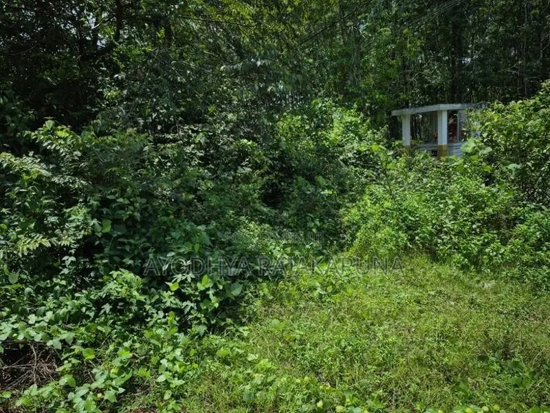 Land for Sale in Homagama
