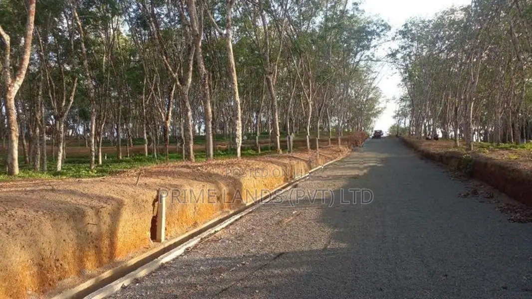අහංගමට ලඟින් බිම් කොටස්