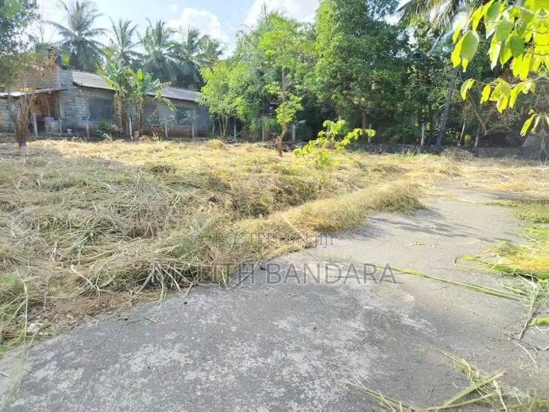 Land for Sale in Dambulla