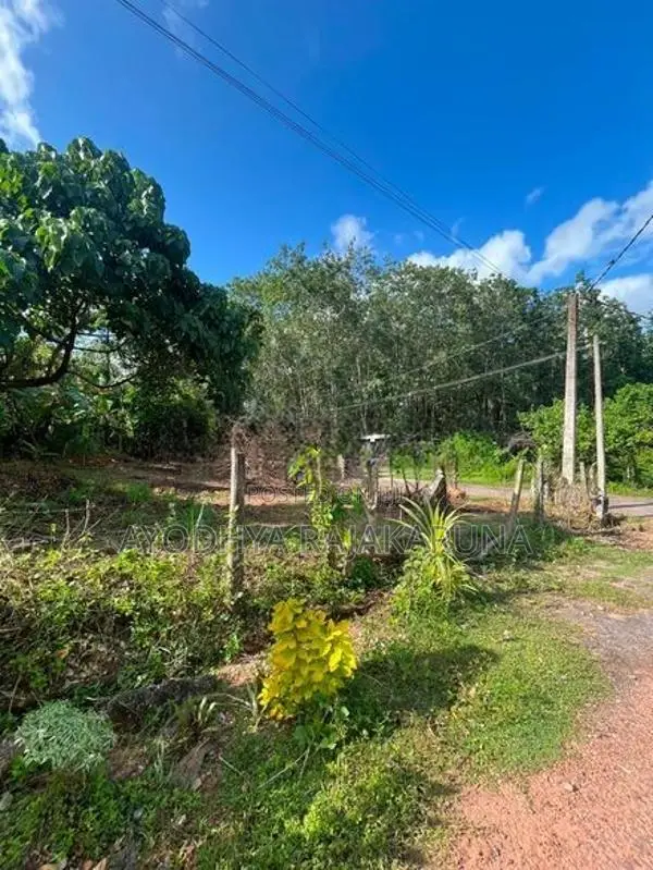 Land for Sale in Homagama
