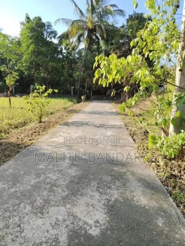 Land for Sale in Dambulla