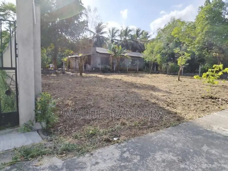 Land for Sale in Dambulla