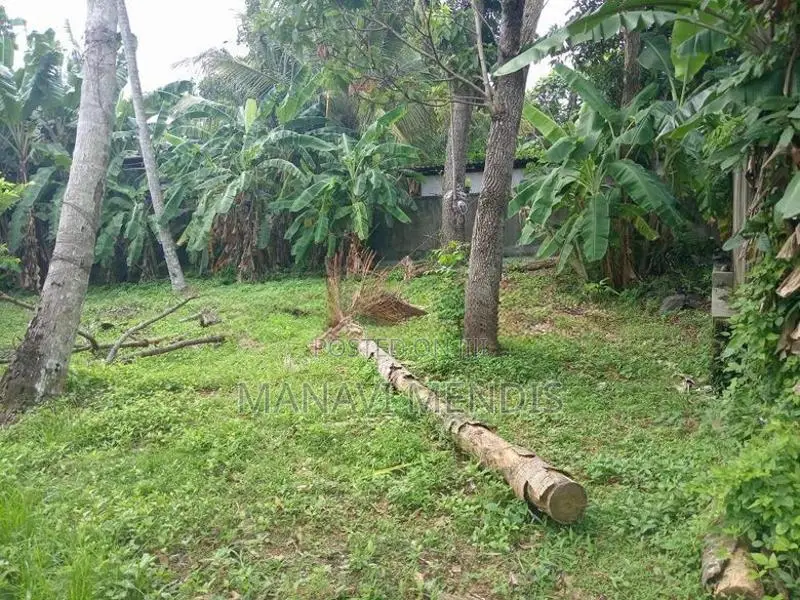 Land for Sale in Panadura 15 Perches