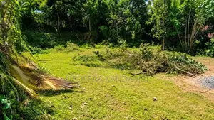 Kamburugamuwa, Matara – Land for Sale
