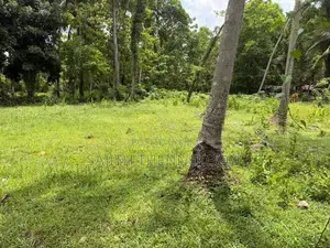 Land for Sale in Kurunegala