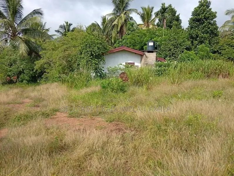 Land For Sale - Near Avissawella