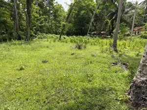 Land for Sale in Kurunegala