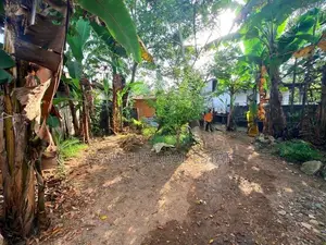 (AF991) 18 Perch with Old Single Story House Sale at Piliyandala