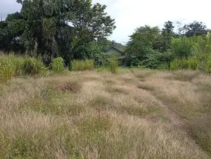 Land For Sale - Near Avissawella