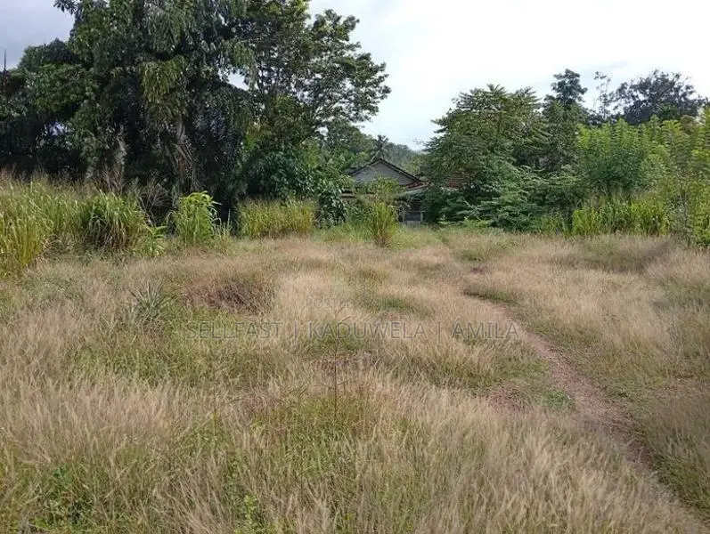 Land For Sale - Near Avissawella