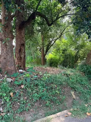 Flat Land for Sale in Watapuluwa