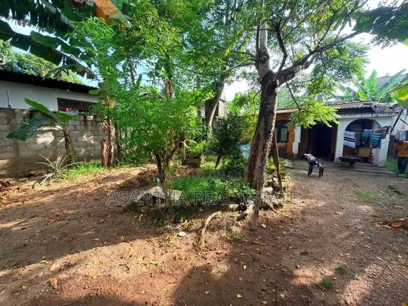 (AF991) 18 Perch with Old Single Story House Sale at Piliyandala
