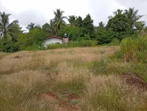 Land For Sale - Near Avissawella