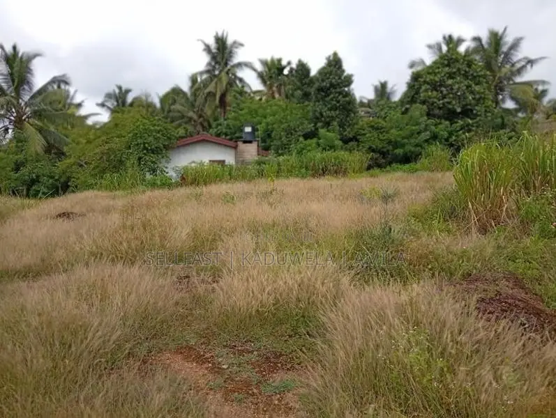 Land For Sale - Near Avissawella