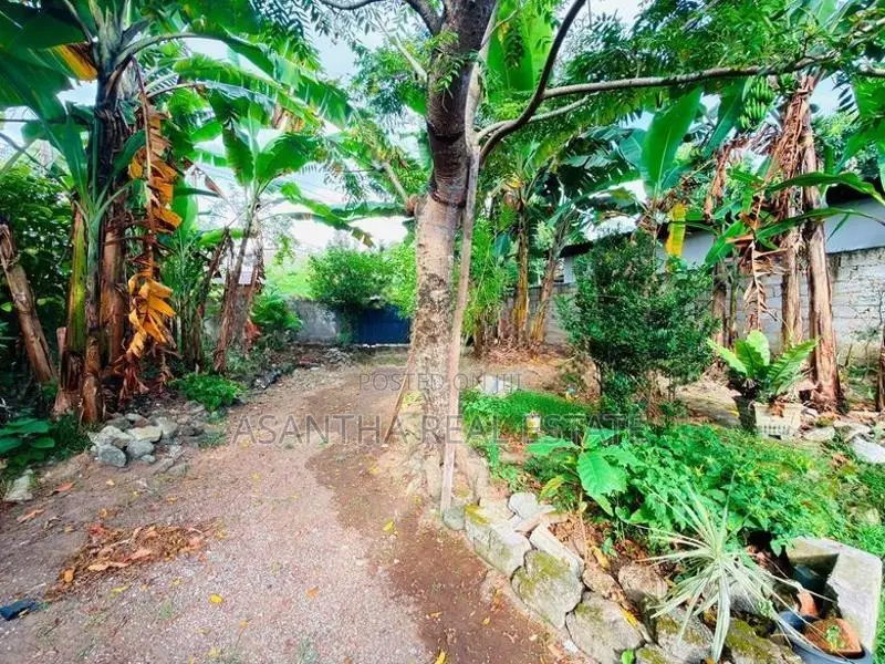 (AF991) 18 Perch with Old Single Story House Sale at Piliyandala