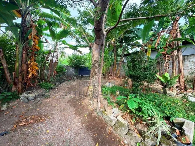 (AF991) 18 Perch with Old Single Story House Sale at Piliyandala