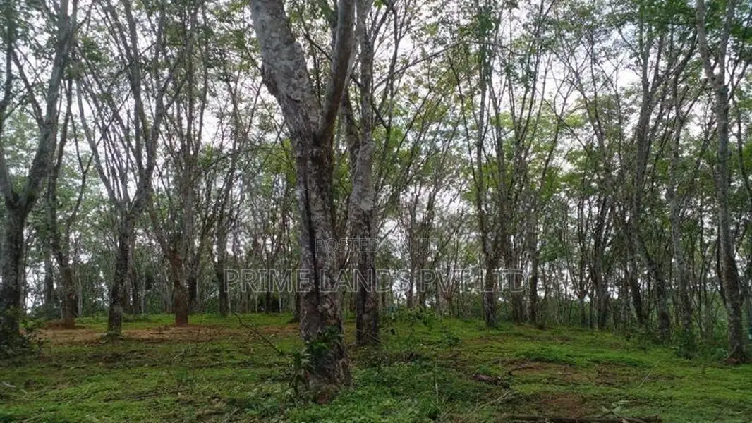 අහංගමින් හරිතවත් ඉඩම්