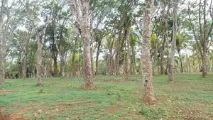 අහංගමින් හරිතවත් ඉඩම්