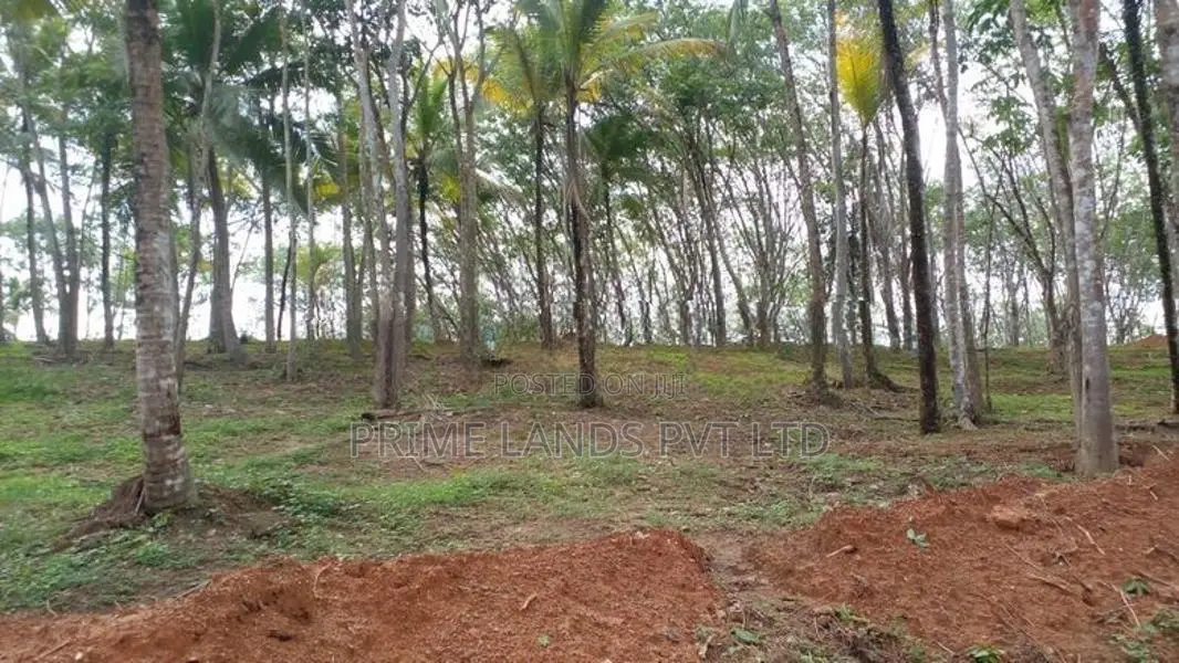 අහංගමින් හරිතවත් ඉඩම්