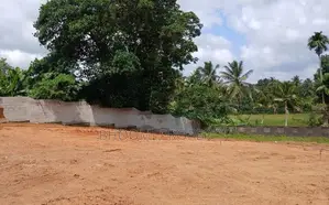 Homagama Twon Valuable Land Plots For Sale