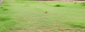 15 Perches Bare land for sale in Mount Lavinia (C7-10219)