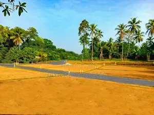 Walking Distance To Turtle Beach Tangalle Rekawa