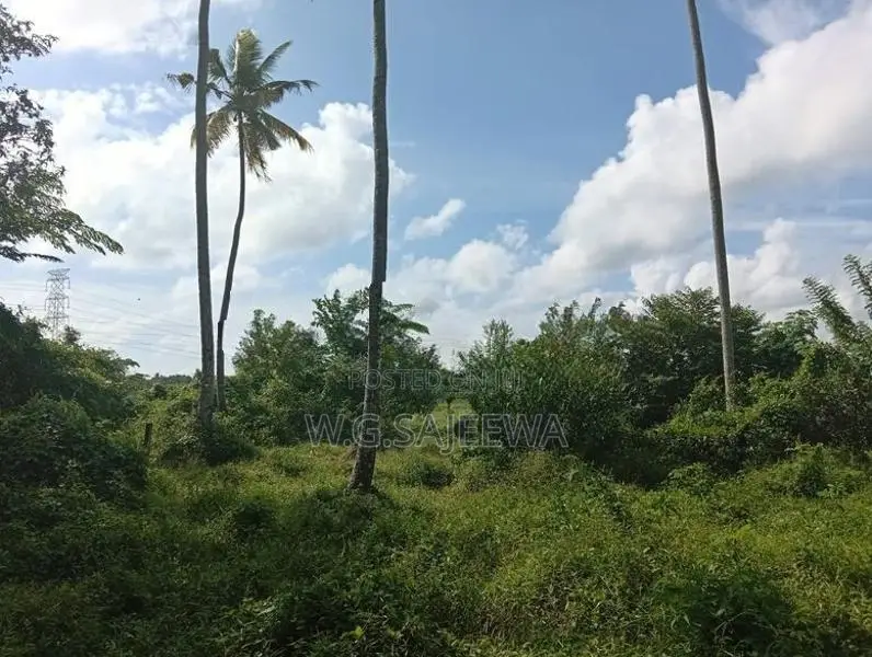 25 Perch Land for Sale in Opatha Seeduwa