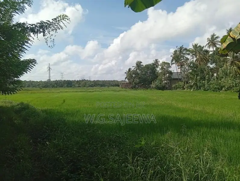 25 Perch Land for Sale in Opatha Seeduwa