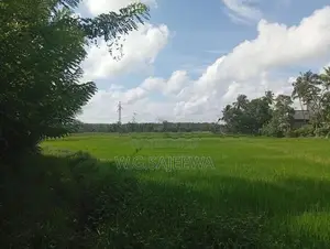 25 Perch Land for Sale in Opatha Seeduwa