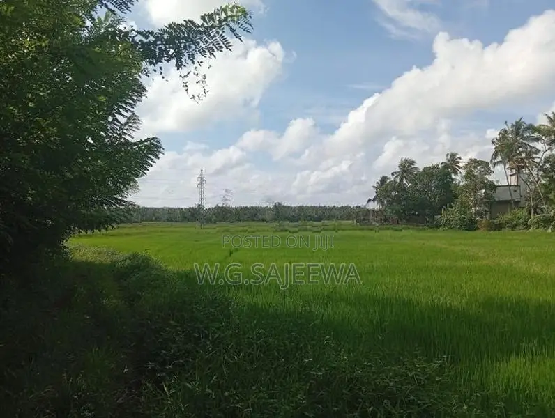 25 Perch Land for Sale in Opatha Seeduwa
