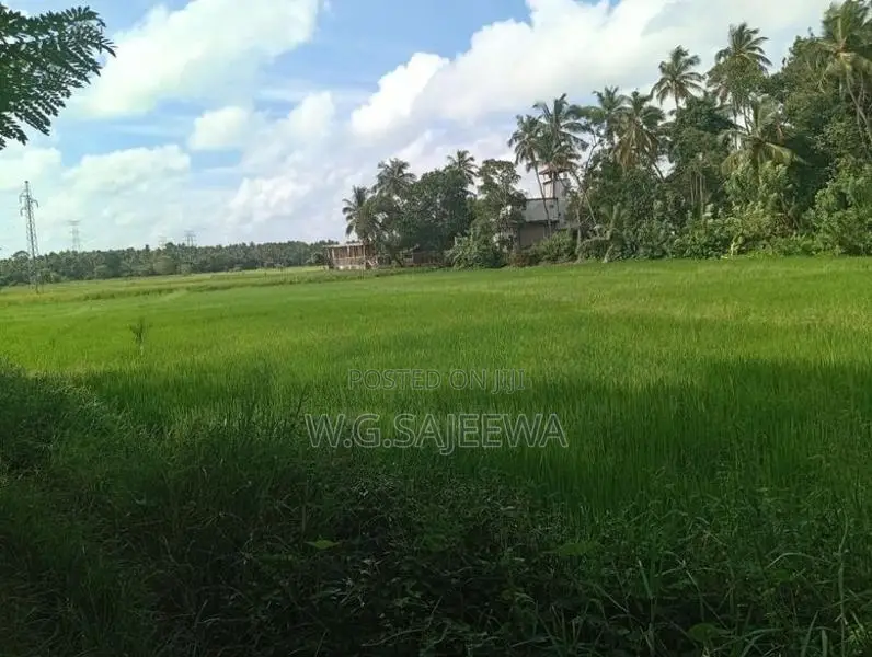 25 Perch Land for Sale in Opatha Seeduwa