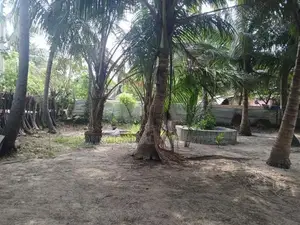 Land for Sale Jaffna