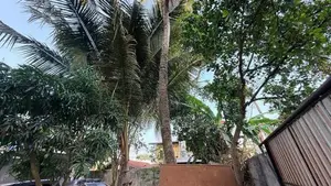 24P Residential Property For Sale in Wattala