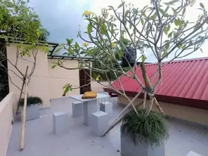 🎑️ BRAND NEW TWO STOREY HOUSE FOR SALE IN PANNIPITIYA AREUWALA ROAD