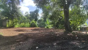 Land For Sale Off Bandaragama Kesbewa Rd - Kindelpitiya