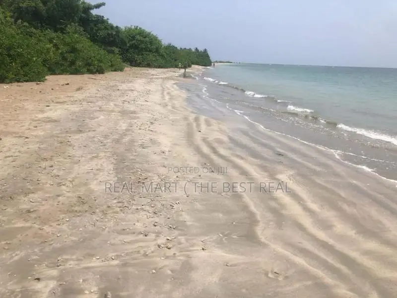 PASIKUDA : 1,206P MASSIVE BEACHFRONT LAND FOR SALE